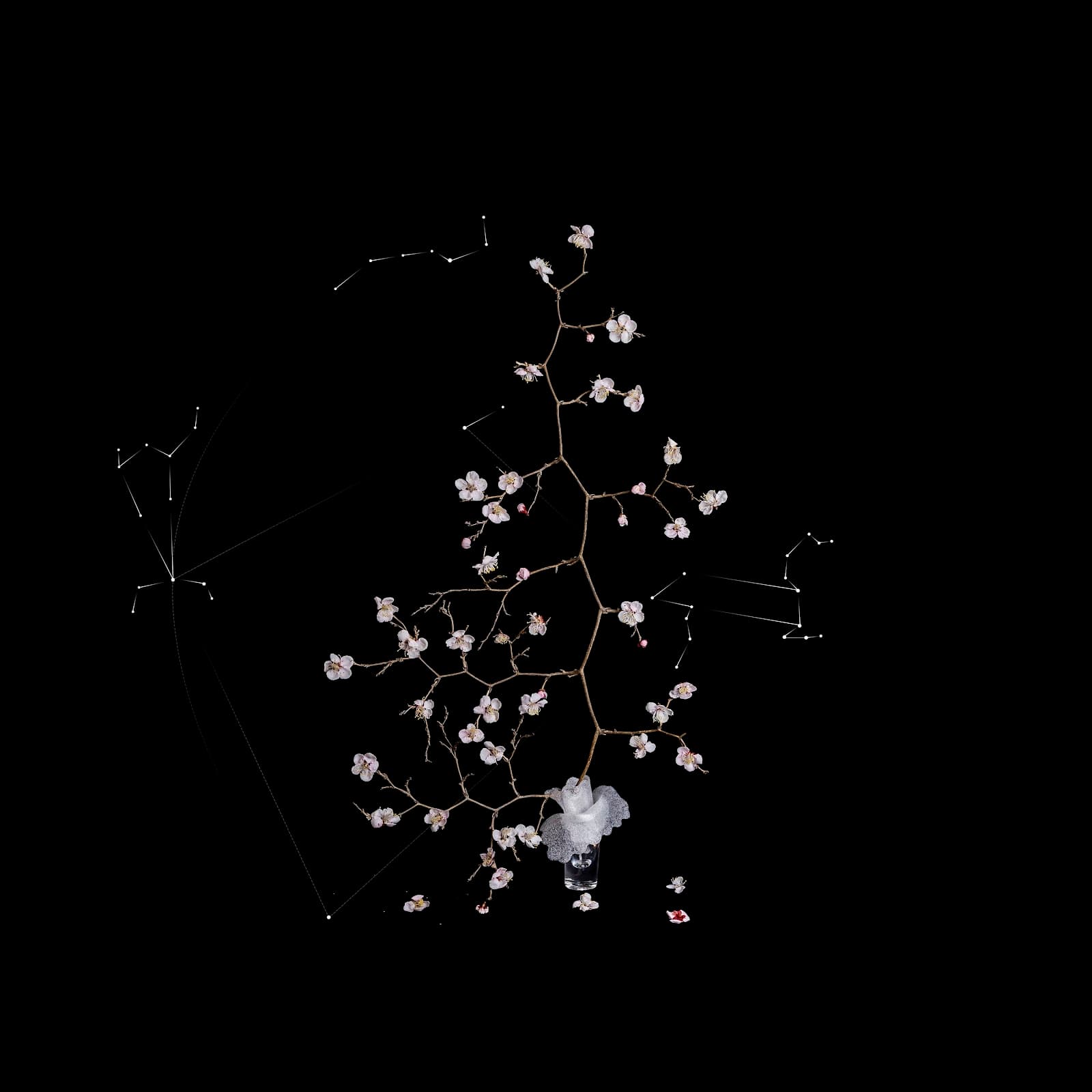 쿼크의 시간#113