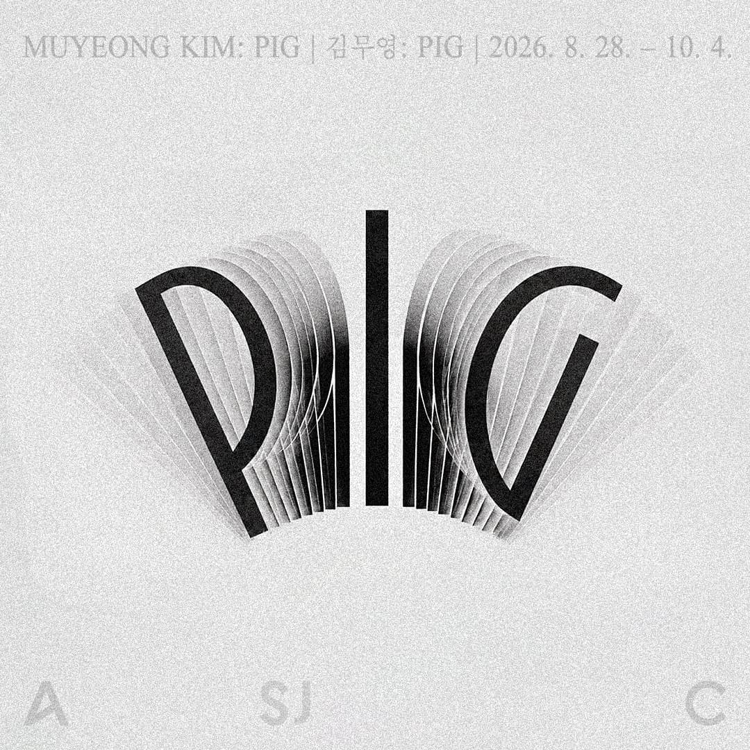 김무영: Pig