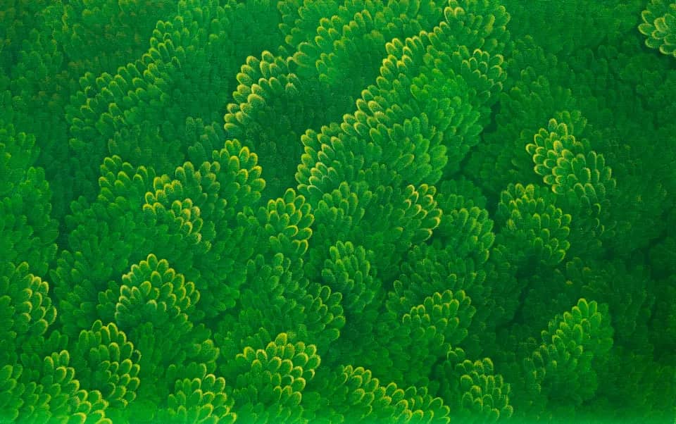 GreenForest(3), oil on canvas 2026 by Yoon Gyeom