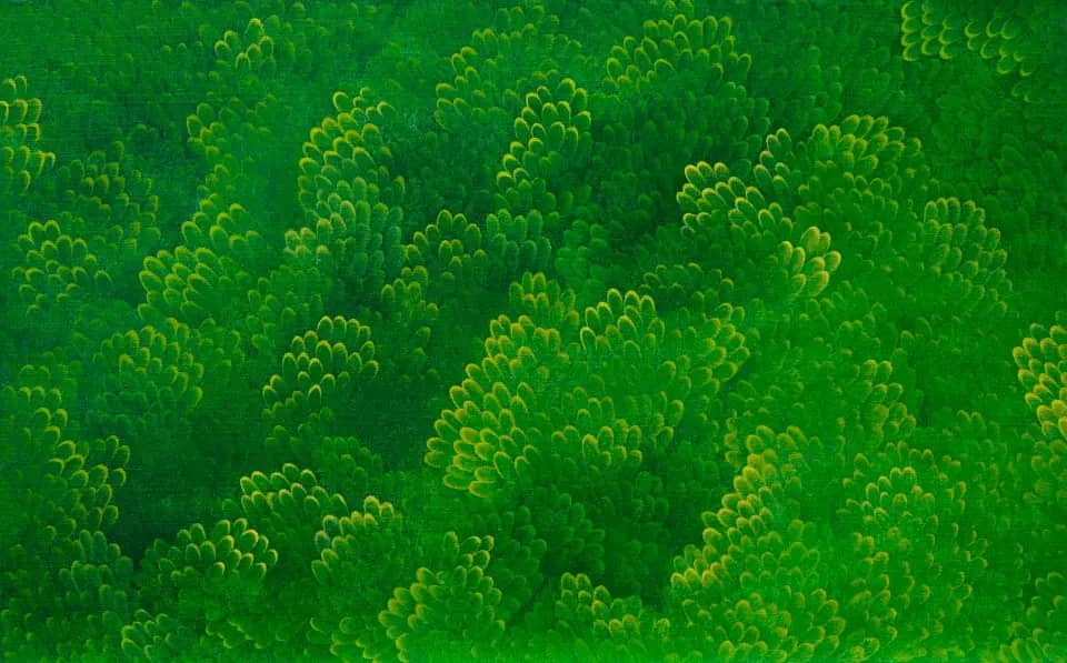 GreenForest, 2016 by Yoon Gyeom
