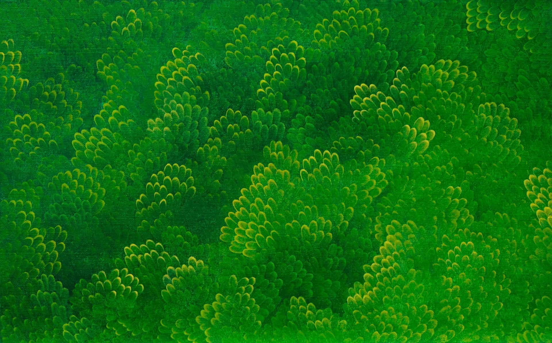 GreenForest, 2016 by Yoon Gyeom