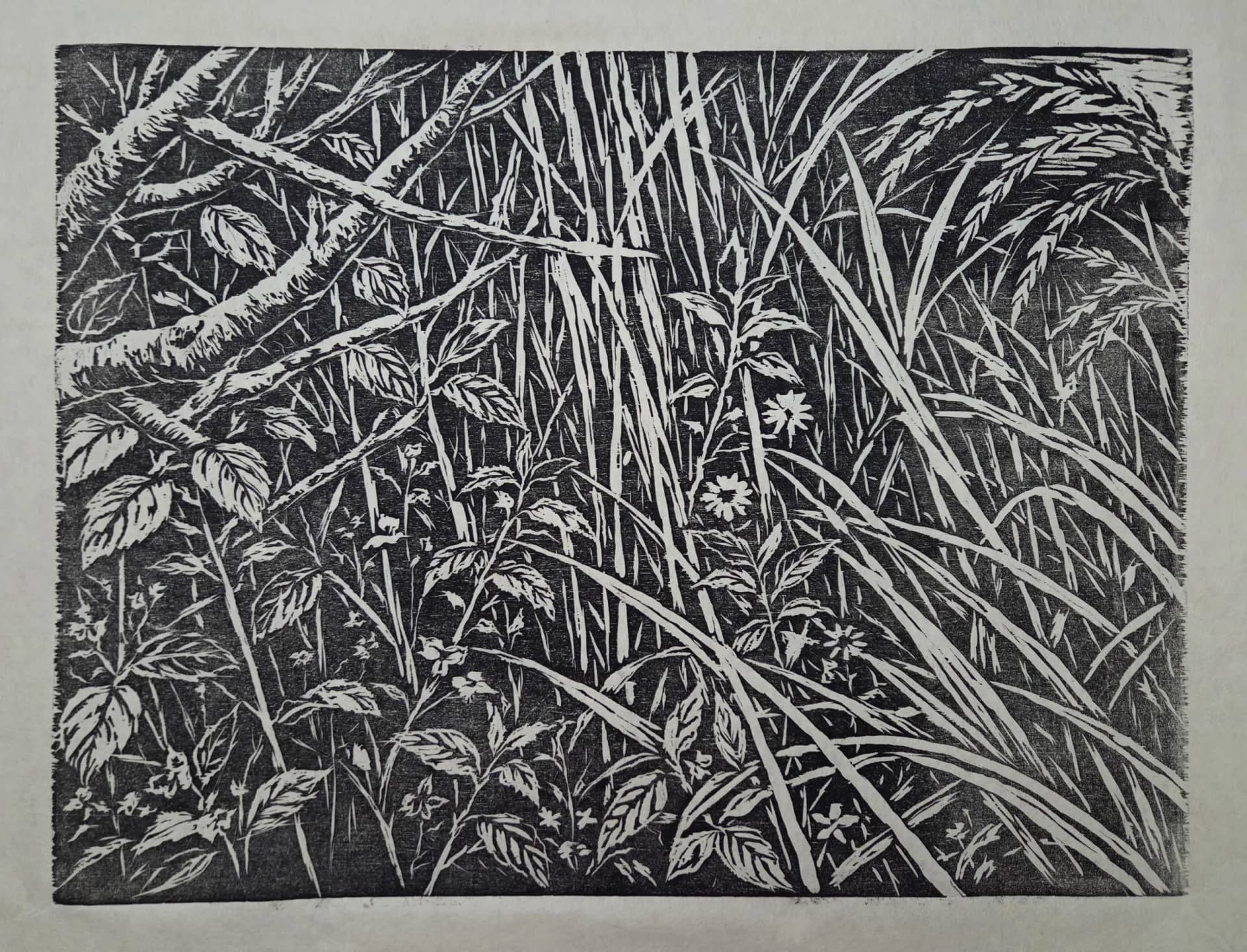Where We Bloom Together, Woodcut on Hanji, oil-based ink, hand-printed with baren 2026 by MOON SOOKHEE