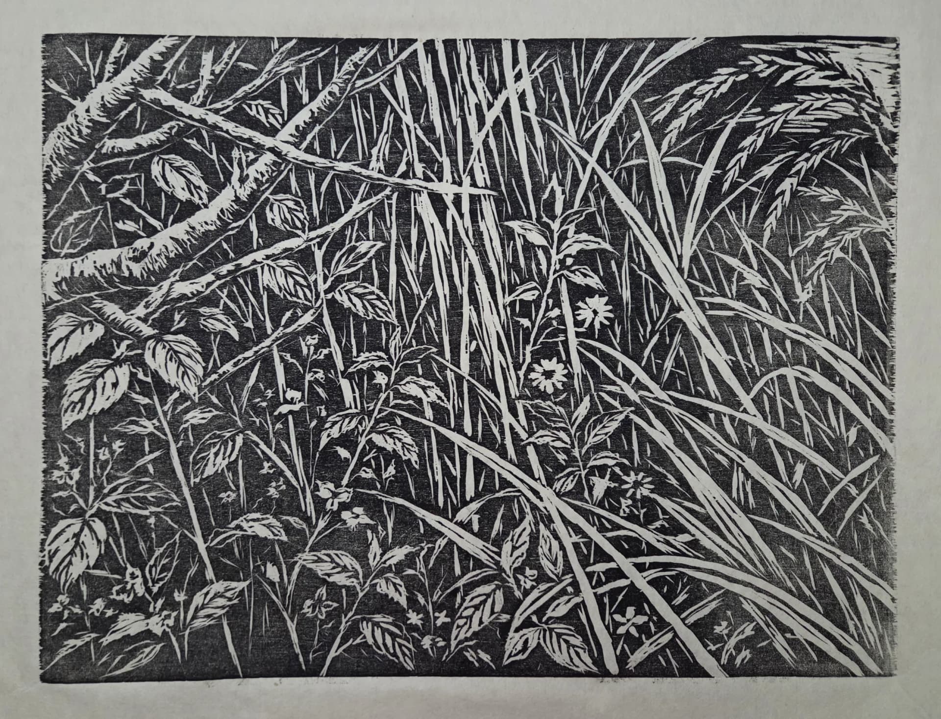 우리, 함께 피는 자리, Woodcut on Hanji, oil-based ink, hand-printed with baren 2026 - 문숙희