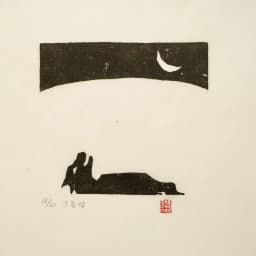 Moonless Night