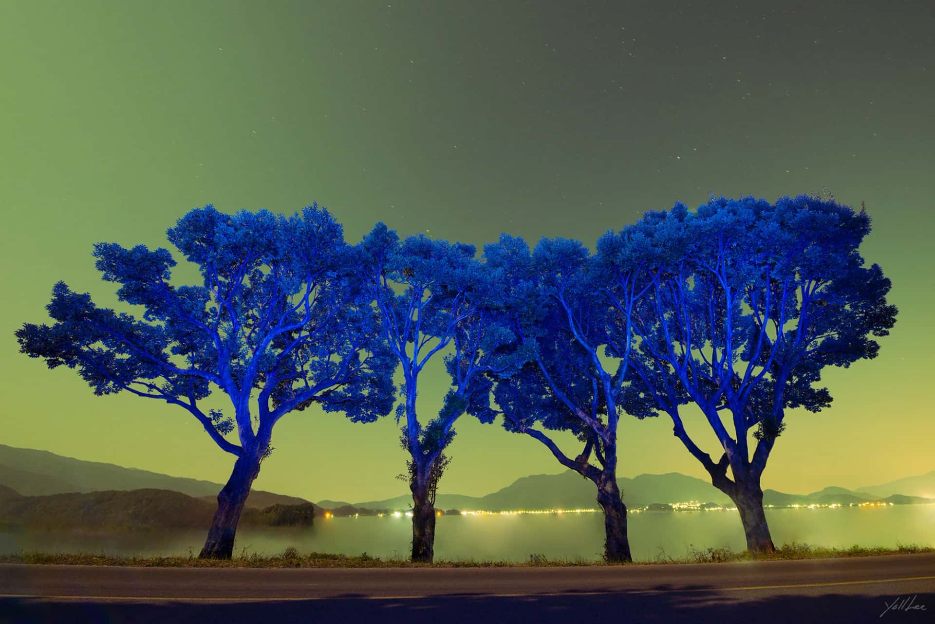 Photo & Media — 43 Original Korean Artworks Direct from Artists | SAF Online