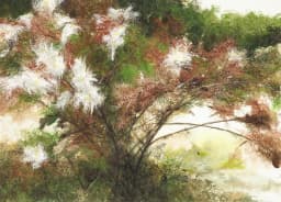 늦여름 숲