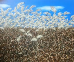 억새바람 2