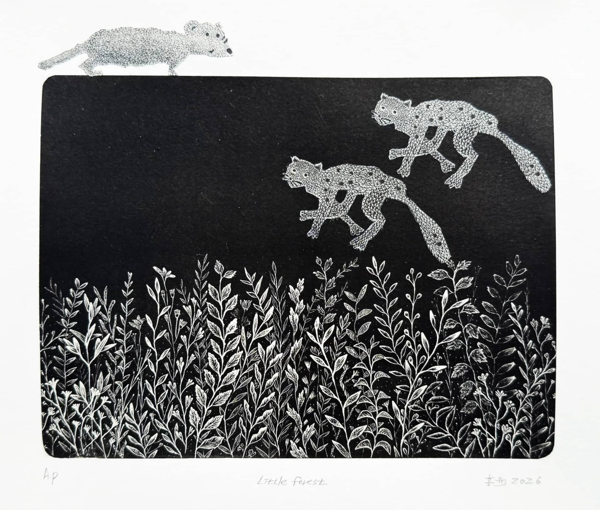 Little forest, wood engraving 2026 by HONG YOON