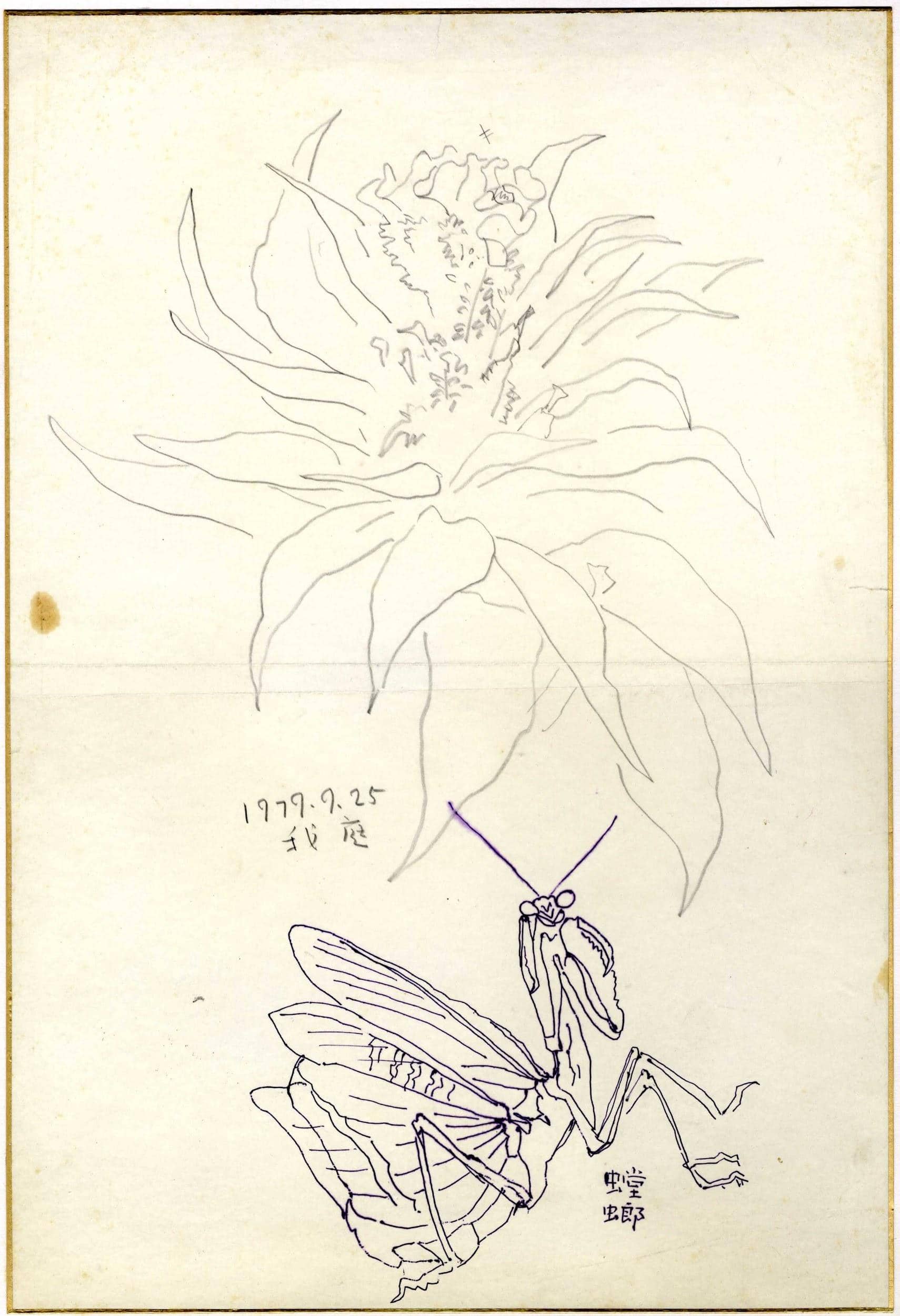 정원의 꽃과 사마귀, 조이에 연필과 잉크 1979년09월25일 - 박생광