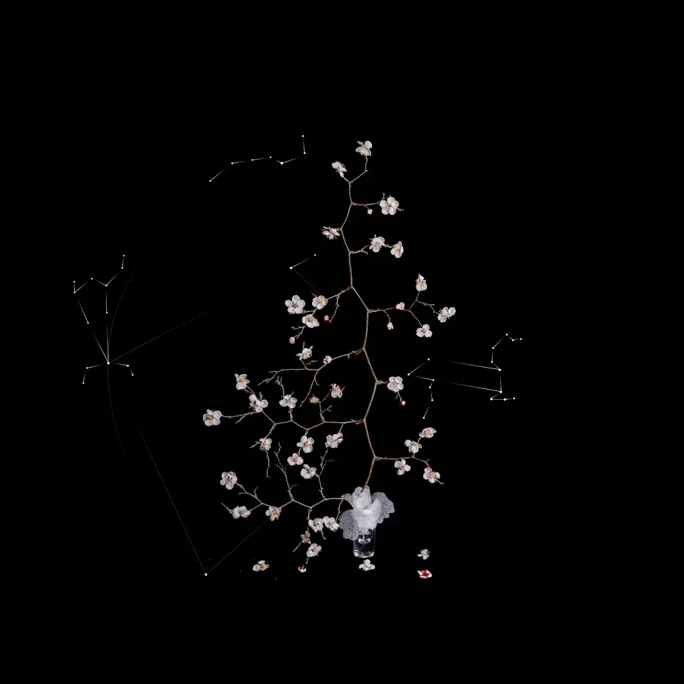 Time of Quarks #113, Archival pigment print 2025 by Choi Jaeran