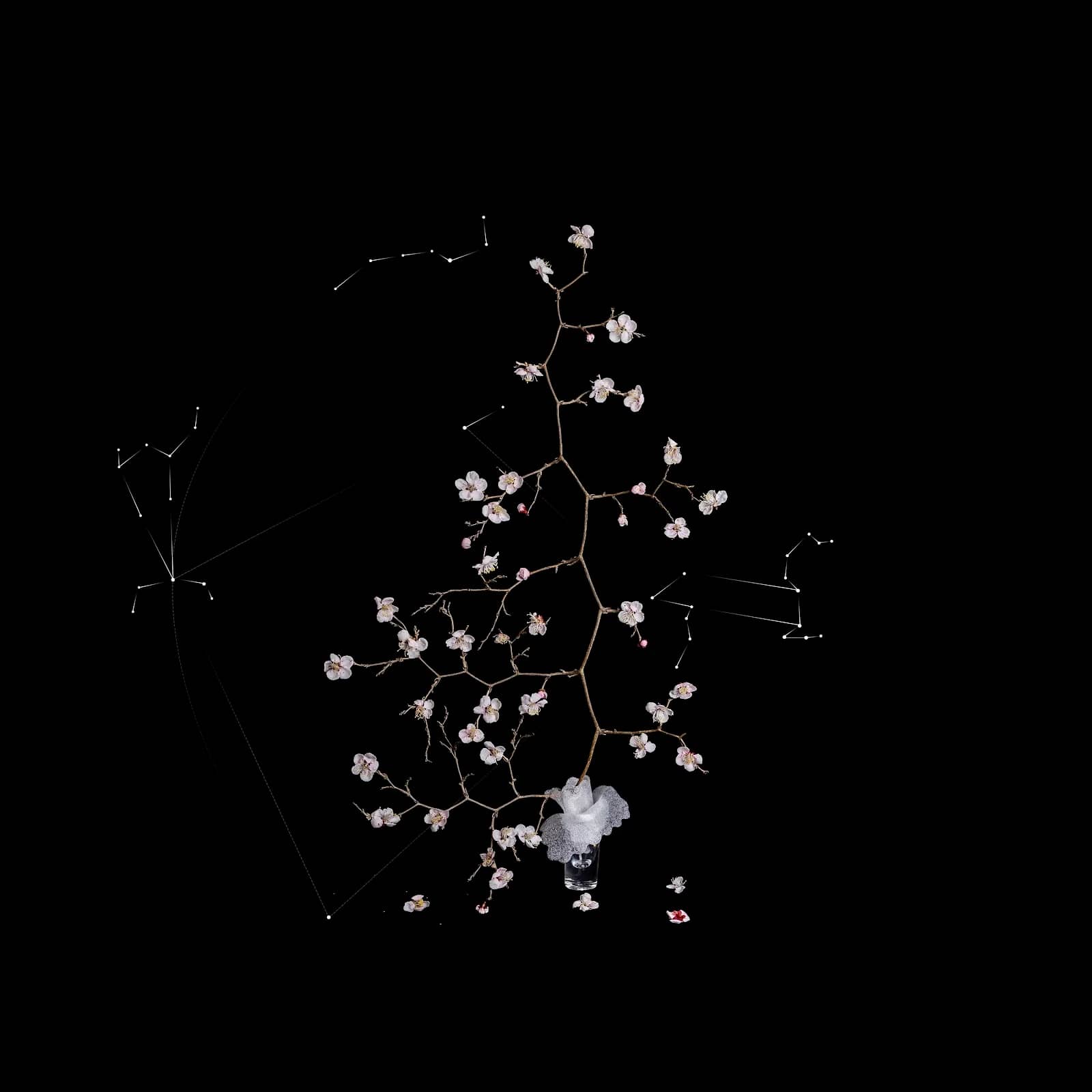 쿼크의 시간#113, Archival pigment print 2025 - 최재란