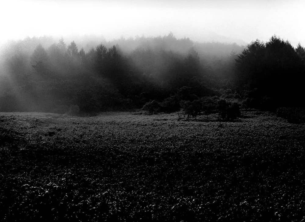 2006 정선 기우산, Pigment ink on FineArt Paper print 2026 - 조문호
