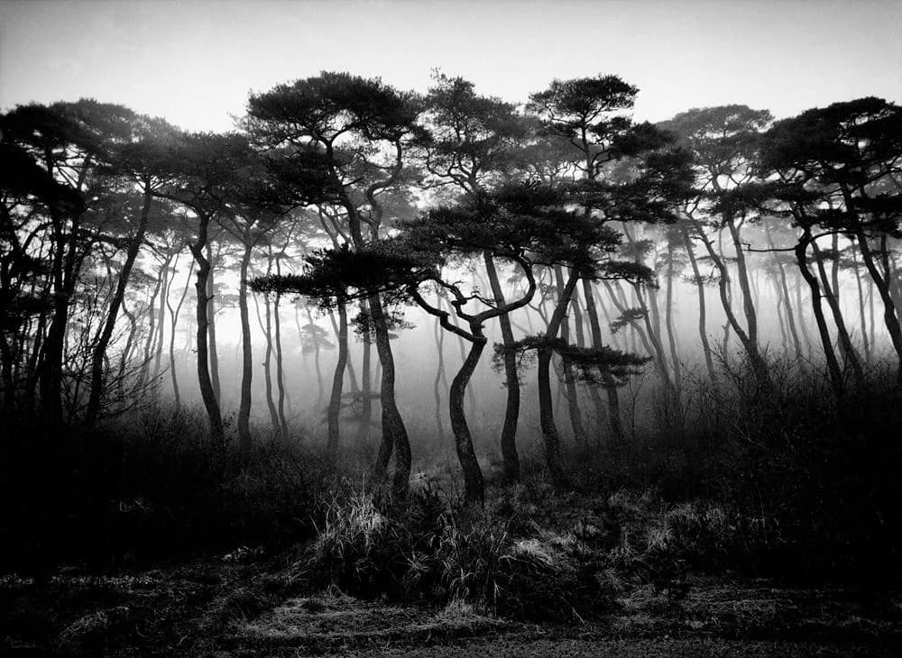 2003 Yangsan Yeongchuksan, Pigment ink on FineArt Paper print 2026 by Jo Munho