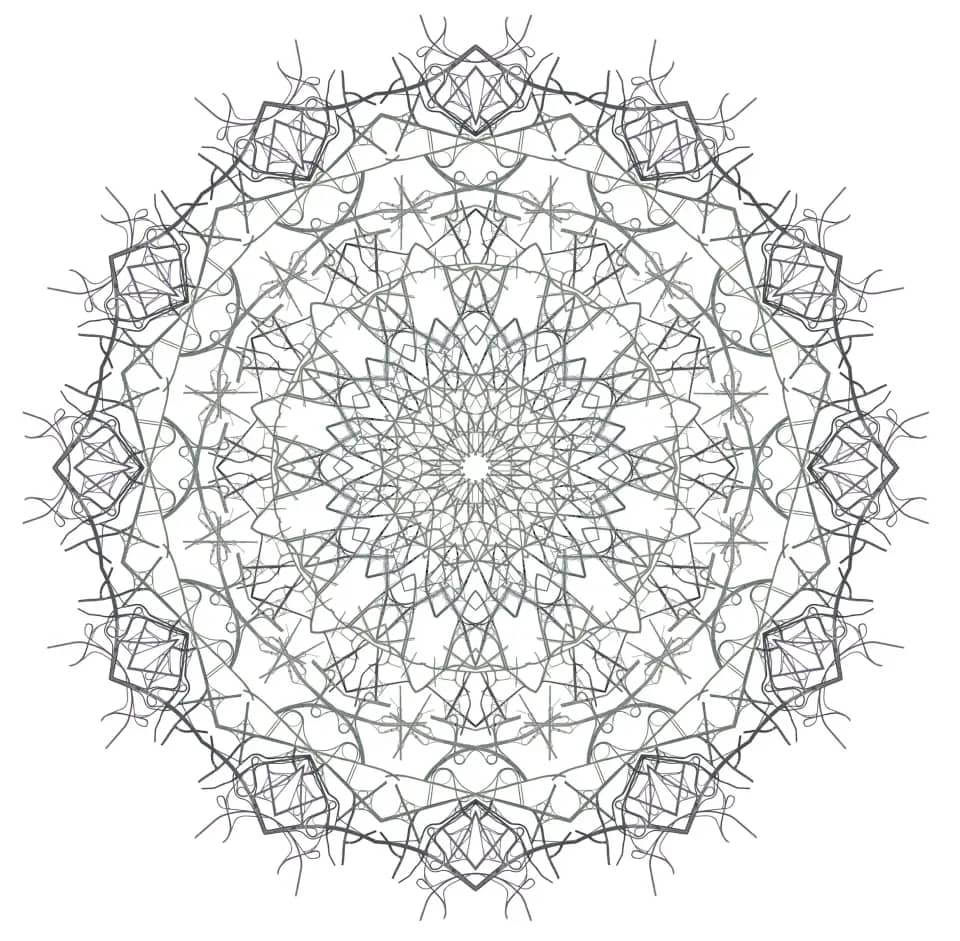 Ornament #3-1, 디지털 프린트, 디아섹 2013 - 김태균