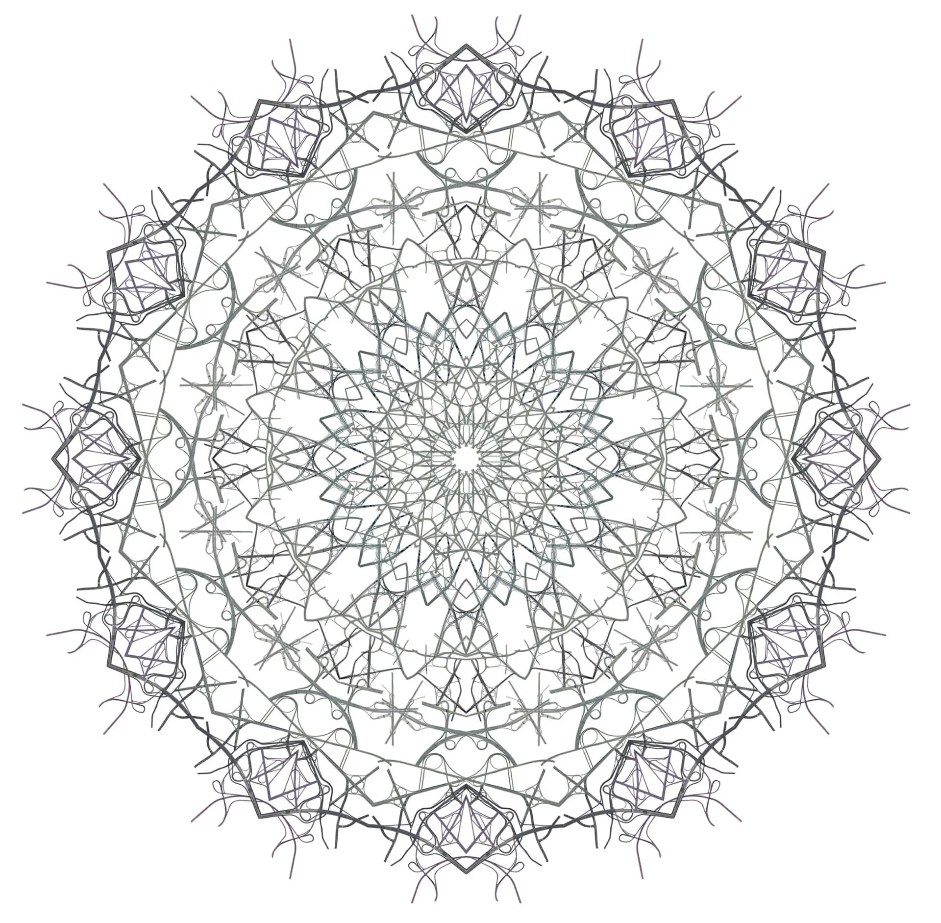 Ornament #3-1, 디지털 프린트, 디아섹 - 김태균