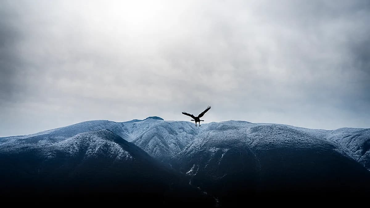Winter Hallasan, Pigment ink on FineArt Paper print - 김수오