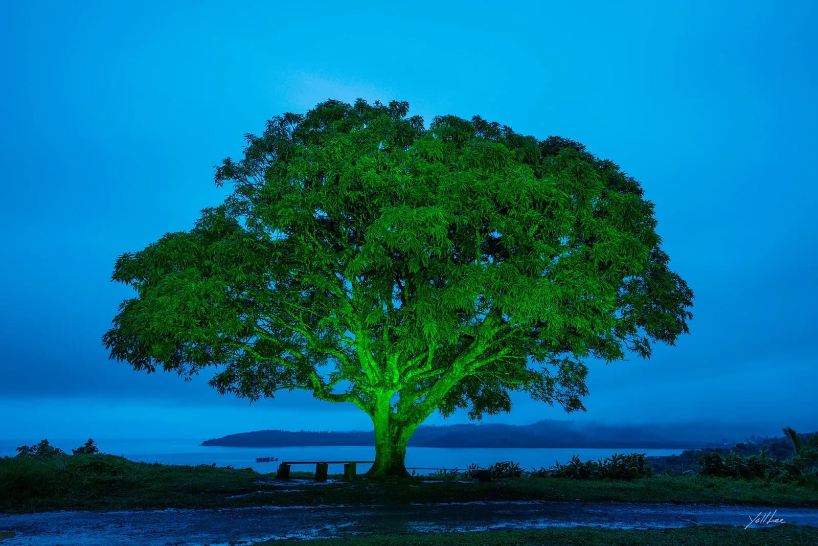 Lee Yeol: Walking the Road of Art with a Camera