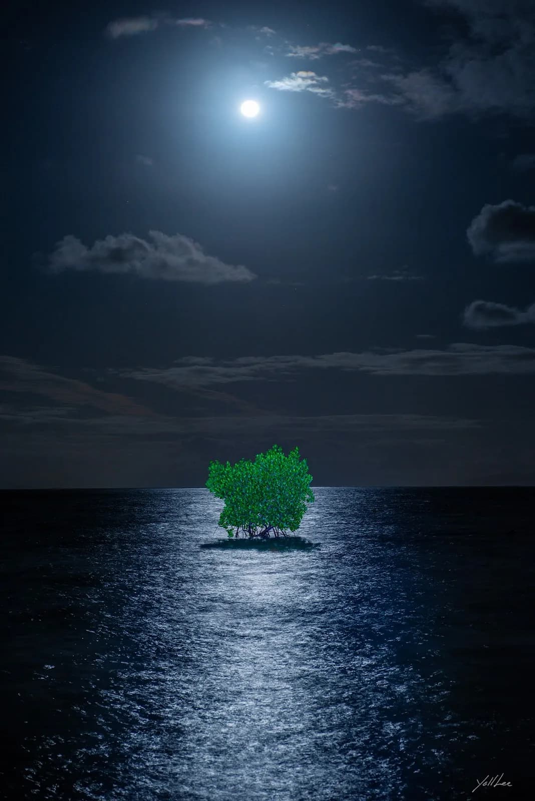 Moonlight Mangrove_Tokuo, Hahnemühle Baryta FB, pigment ink-jet print - Lee Yeol