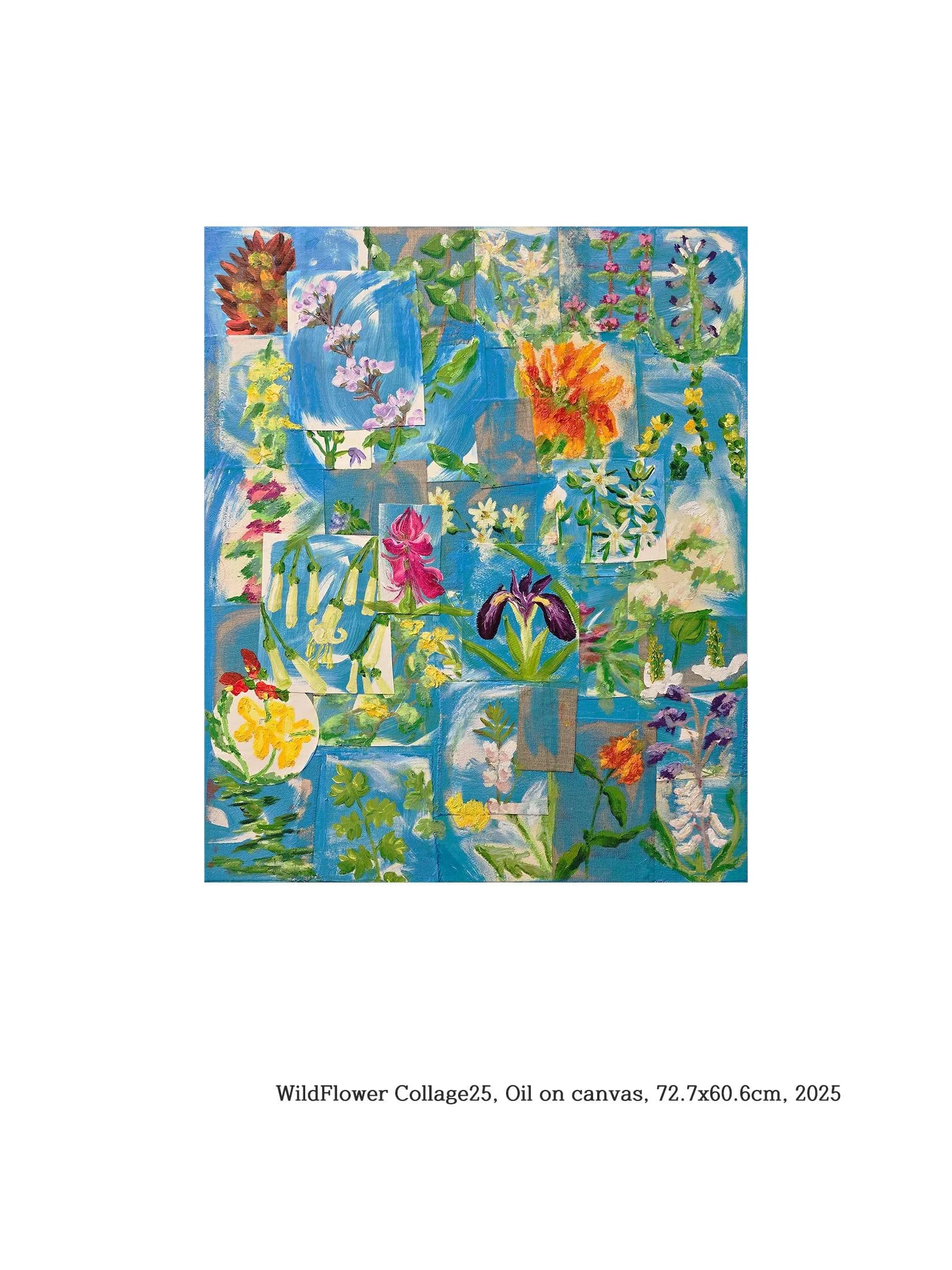 어릴 적 밭 주변의 이름 모를 야생초: 김우주의 Wildflower Collage
