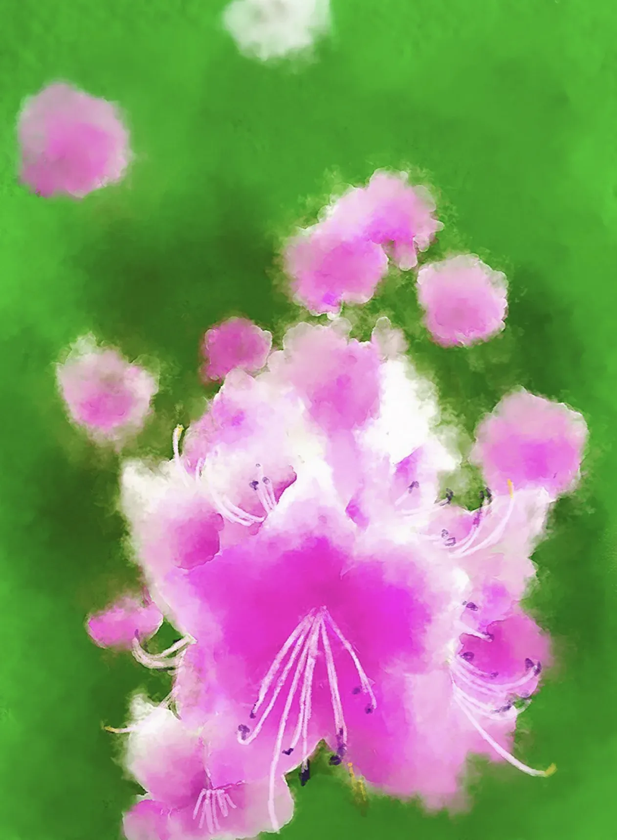 Azalea, Azalea, Digital Painting - 림지언(Ji-oen Lim)