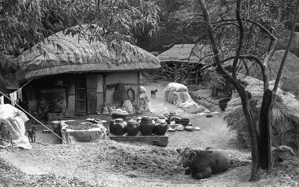 1988 Jeonnam Gangjin, Pigment ink on FineArt Paper print - Jeong Yeongsin