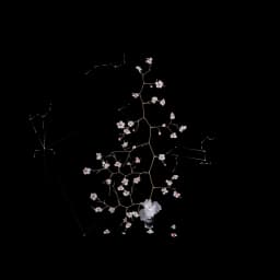 쿼크의 시간#113