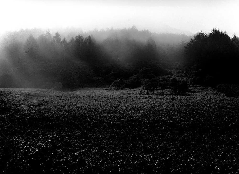 2006 Jeongseon Giusan, Pigment ink on FineArt Paper print - Jo Munho