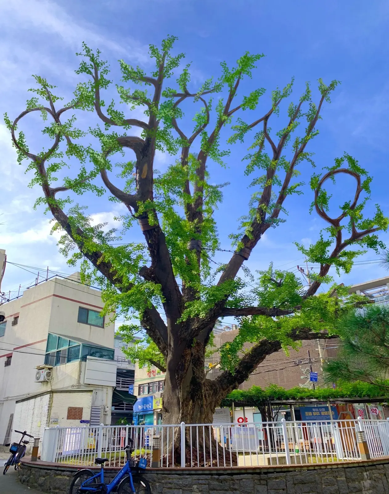 안녕하세요 - 김태균