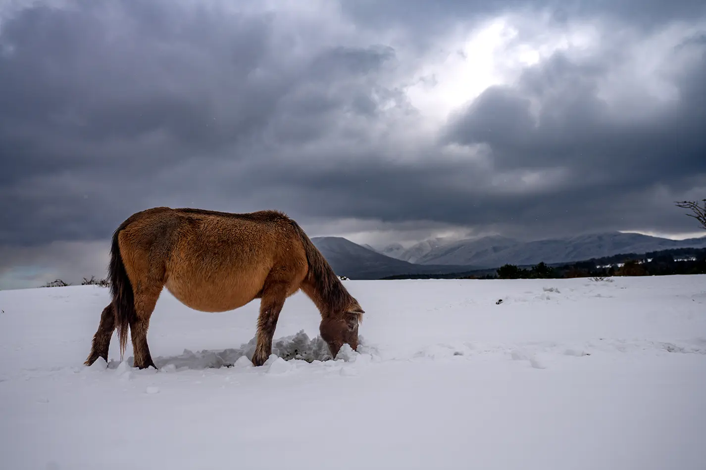겨울중산간 - 김수오