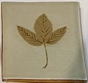 잎파리 - 김지영