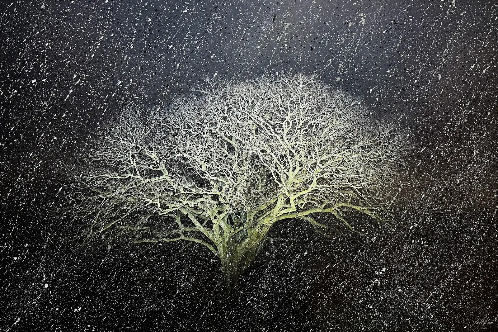 씨앗페 2026 전시 출품작 1