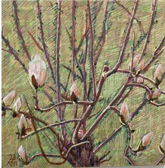 민정기 - 선암사목련