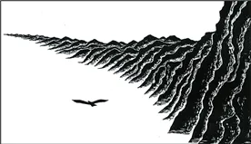 최병수 - 장산곶매