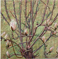 민정기 - 선암사목련