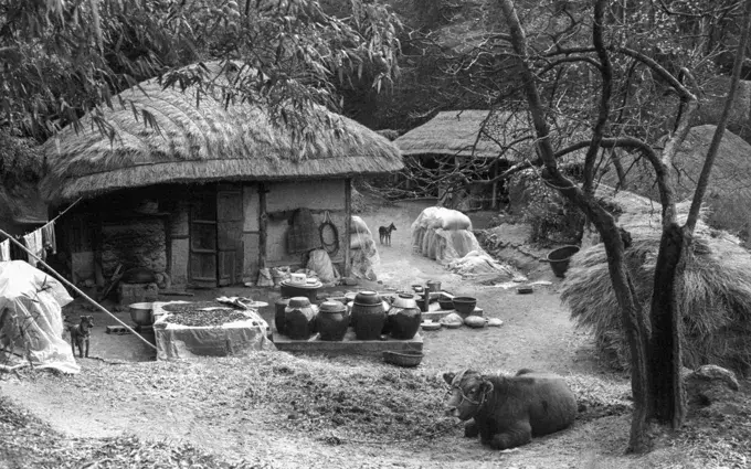 정영신 - 정영신, 1988 전남 강진