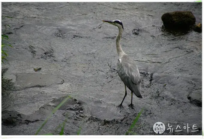 김이하 - 기다림